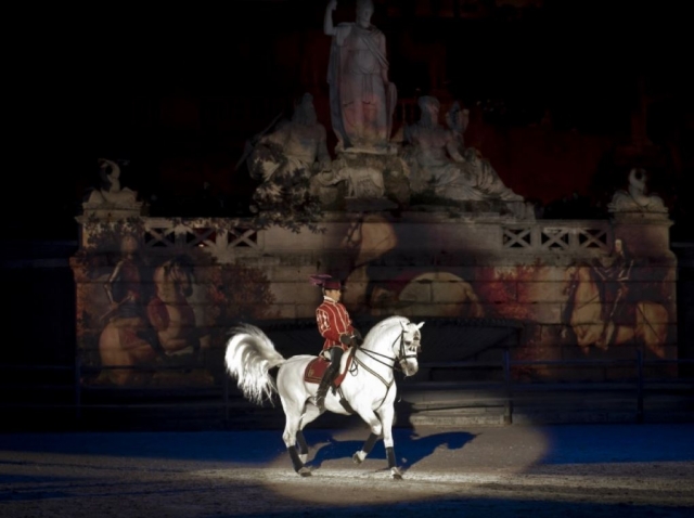 Exhibicion con caballos