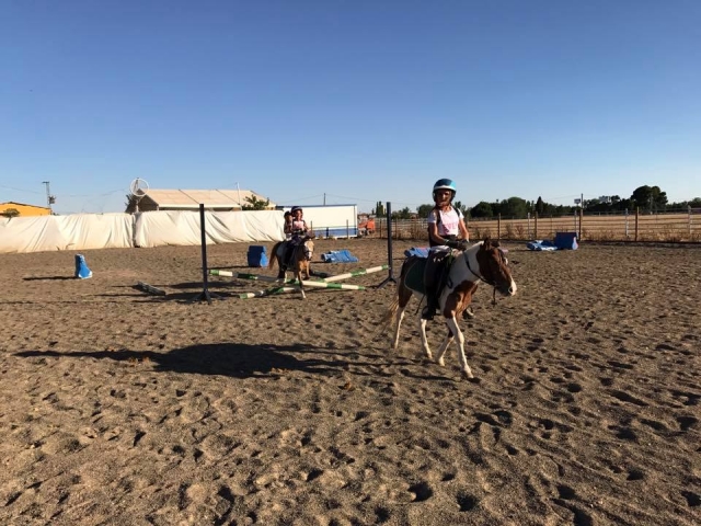  Children's activities with ponies 