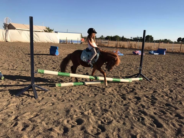  Student riding a pony 