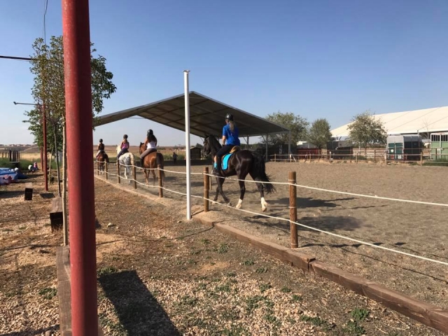  Horseback riding on the track 