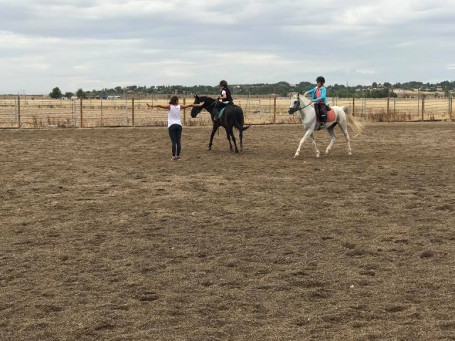  Horse training at the camp 
