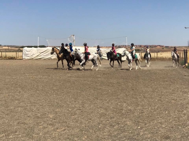  Playing horseball 