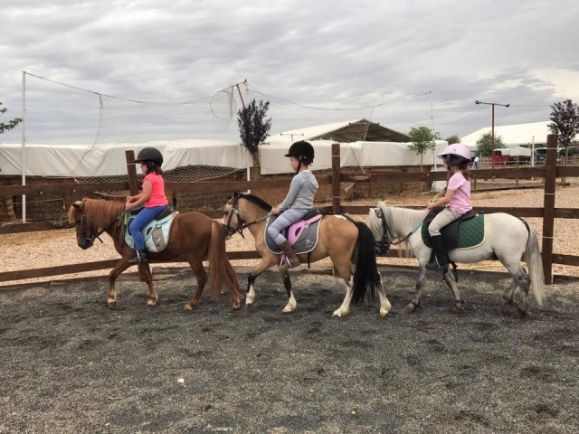  Mini horsewomen on a pony 