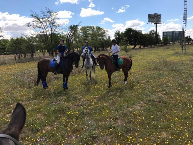  Horseback riding in the countryside 
