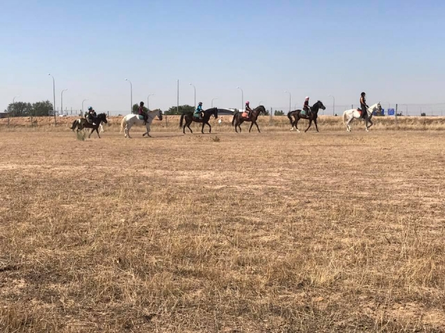  Going out on the trail with horses 