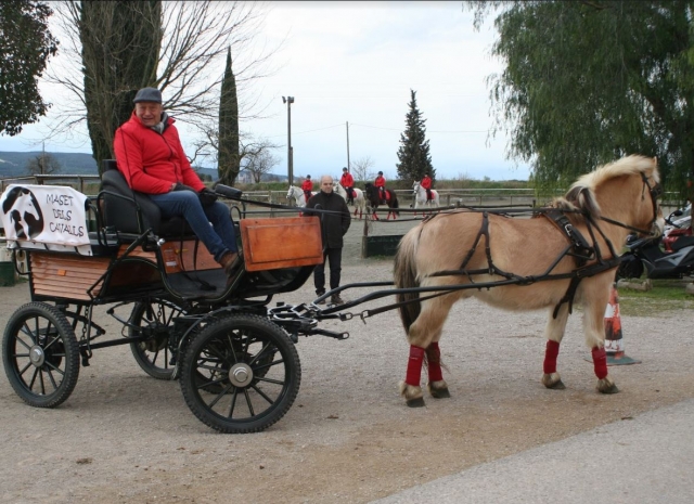 Carro tirado por caballo