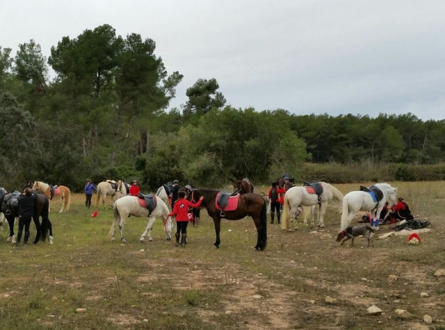 Descanso durante la ruta a caballo