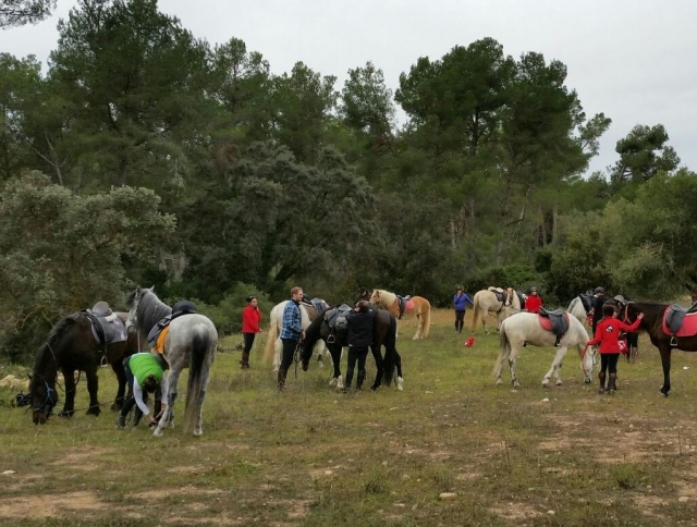 Reponiendo fuerzas durante la ruta a caballo