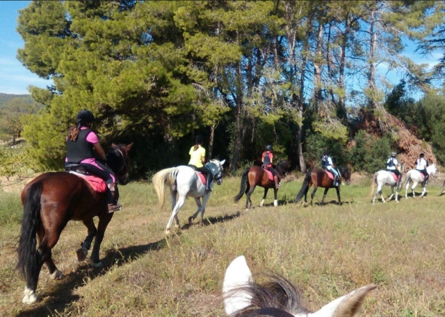 Saliendo a caballo en fila