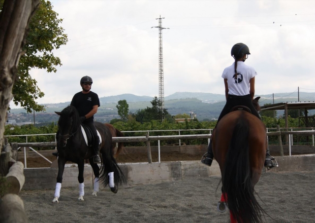 Trabajo de equitacion en pista
