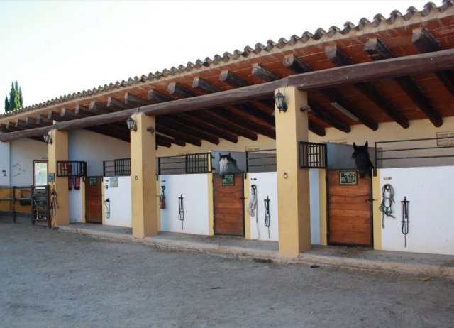 Boxes para los caballos
