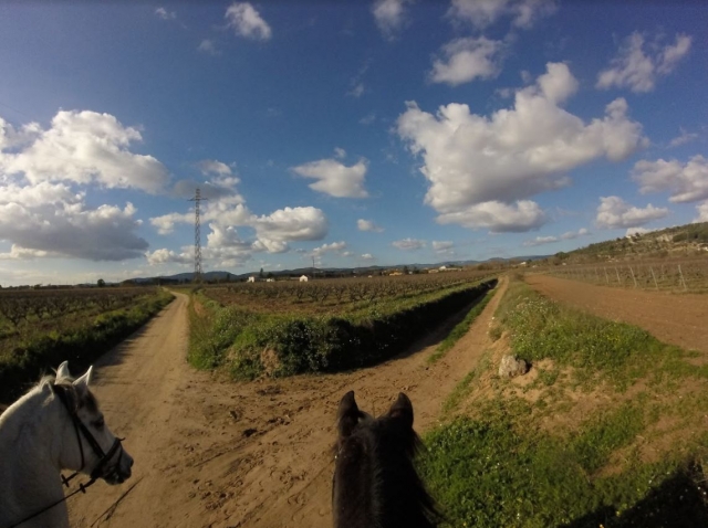 Vistas de los alrededores desde los caballos