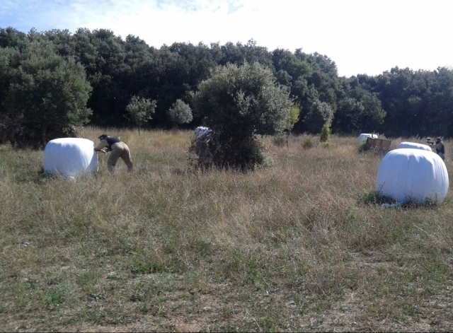 Campo de paintball natural con obstaculos