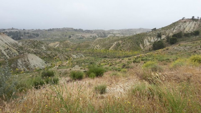  panorami incredibili 