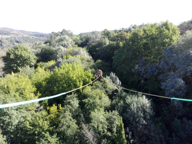  adrenaline 