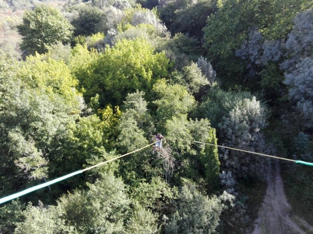  suspended