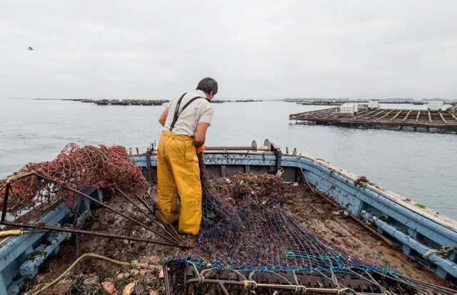 redes de pesca
