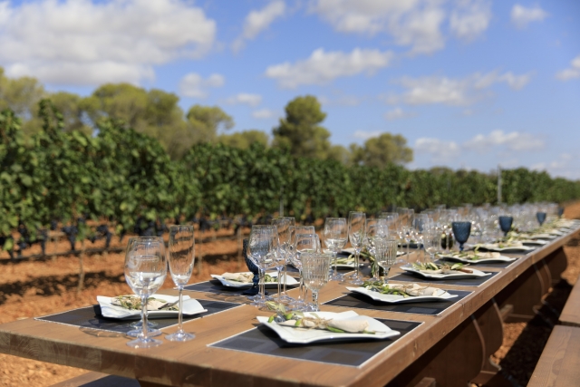 Almuerzo maridado con los mejores vinos