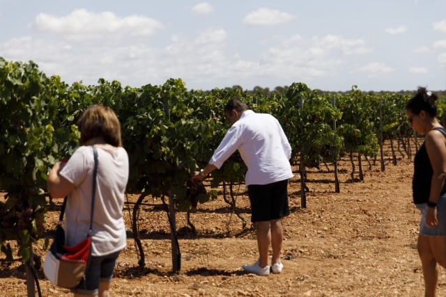 Conociendo de cerca el producto