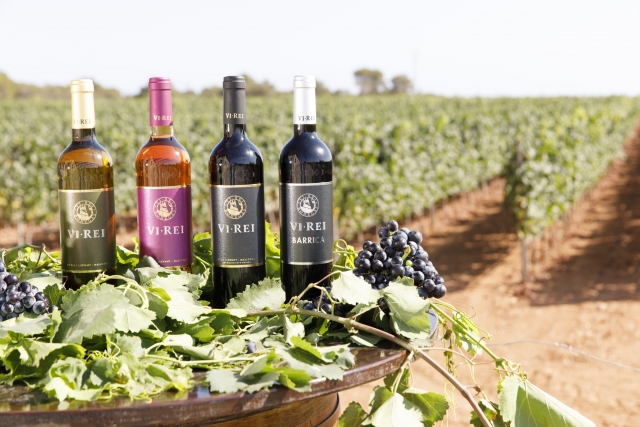 Nuestra gama de vinos