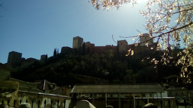 Visita cultural a Granada