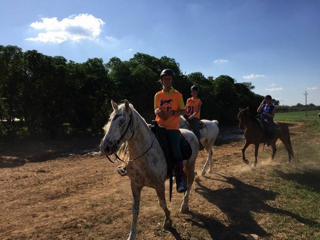 Disfruta de los caballos