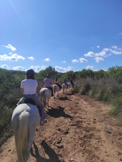 res_o-66033-rutas-a-caballo_de_nicolas-roman-carre_img-20251018-141852_17612230462615.jpg