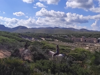 res_o-66033-rutas-a-caballo_de_nicolas-roman-carre_img-20251018-144937_17612230075747.jpg