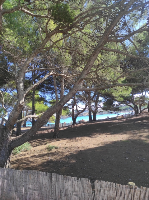 Opinión de Sabrina sobre Ruta a caballo en Cala Ratjada playa y montaña 2h Opinión de Sabrina sobre Ruta a caballo en Cala Ratjada playa y montaña 2h