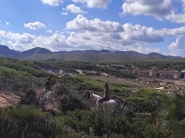 意见 Anton 关于 Cala Ratjada 海滩和山脉骑马路线 2 小时