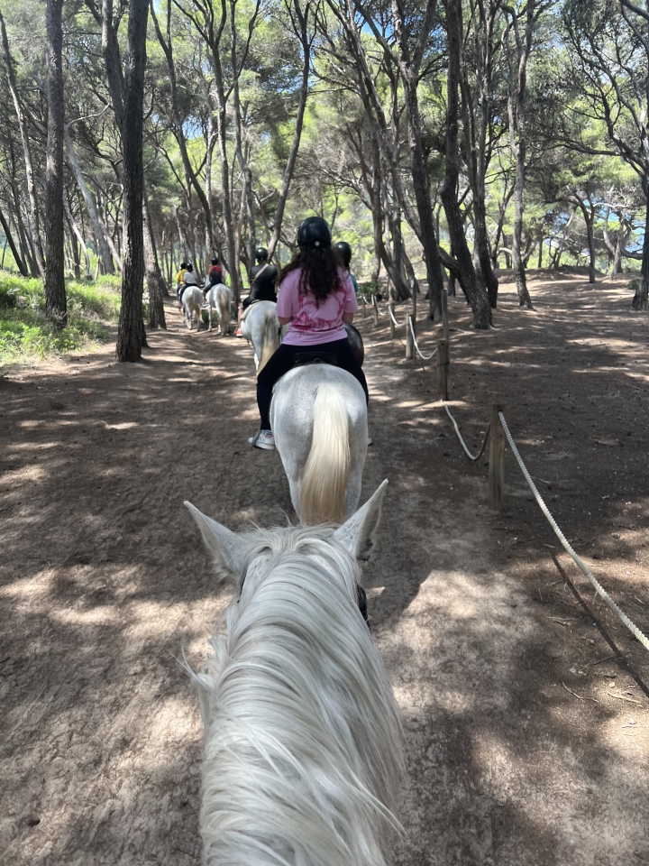 res_o-64447-rutas-a-caballo_de_marta-esteban-de-la-torre_17481079181464.jpeg