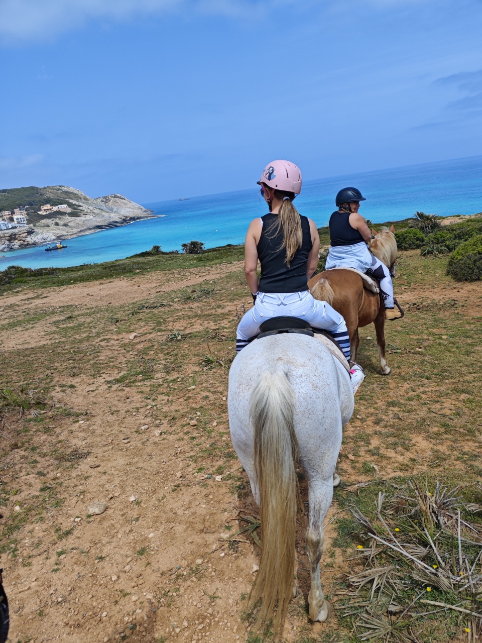 res_o-66743-rutas-a-caballo_de_roger-soteras-duran_17775550643645.jpg