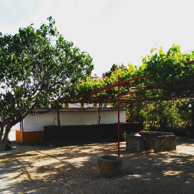 belleza en cada rincon