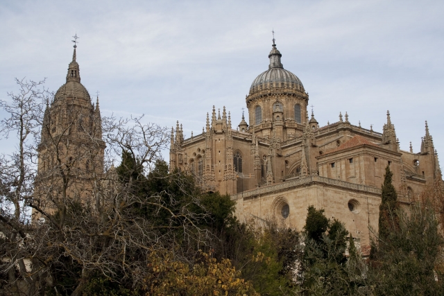 la catedral
