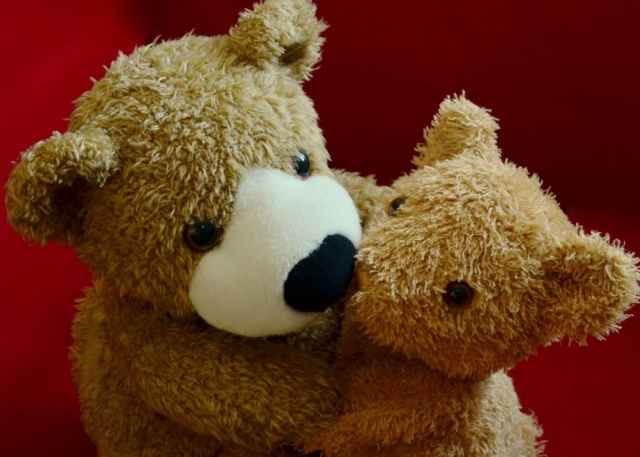  Teddy bears 