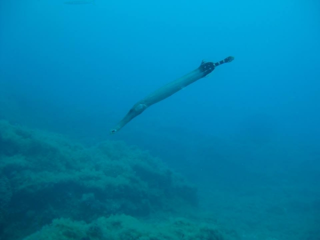 vistas desde el interior