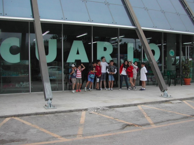 Visitando el acuario