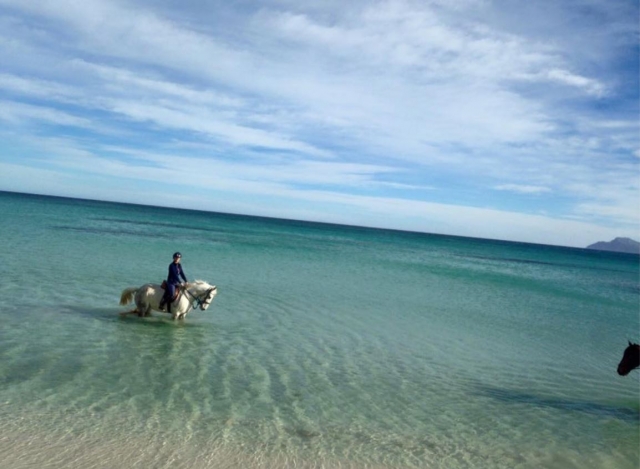  Rider with the horse in the water 
