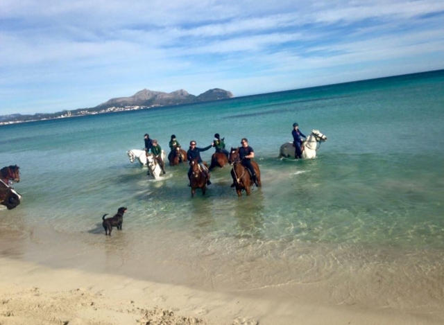  With the horses in the sea 