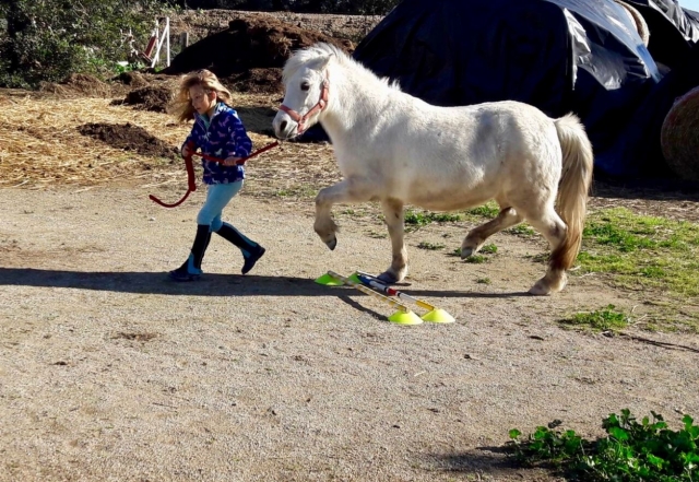  Games with obstacles with pony 