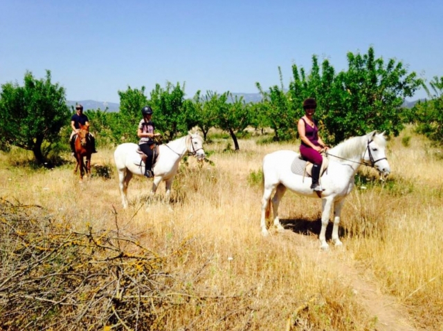  Route with the horses in the center hipico