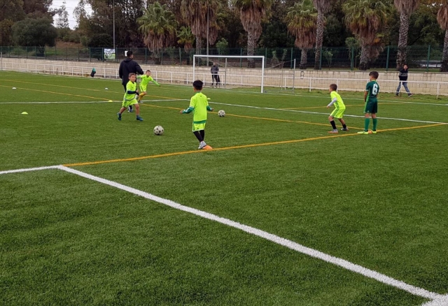  草地上双人训练 