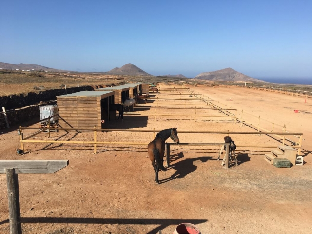 Escuela de equitacion en Lanzarote