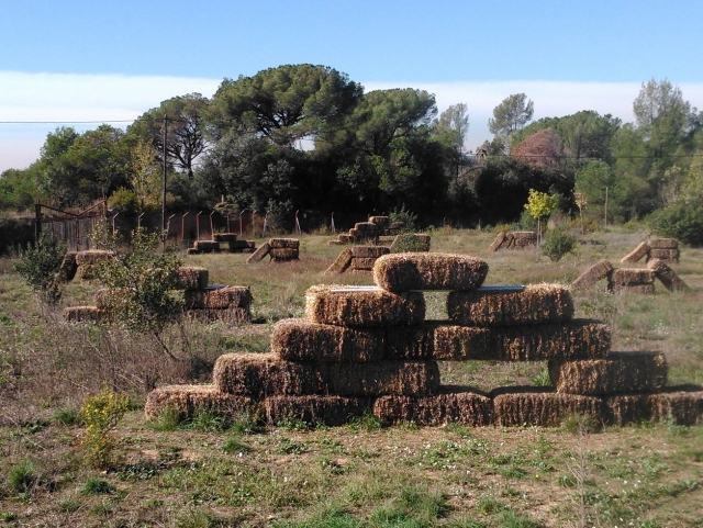  Palcoscenico accanto a un boschetto 