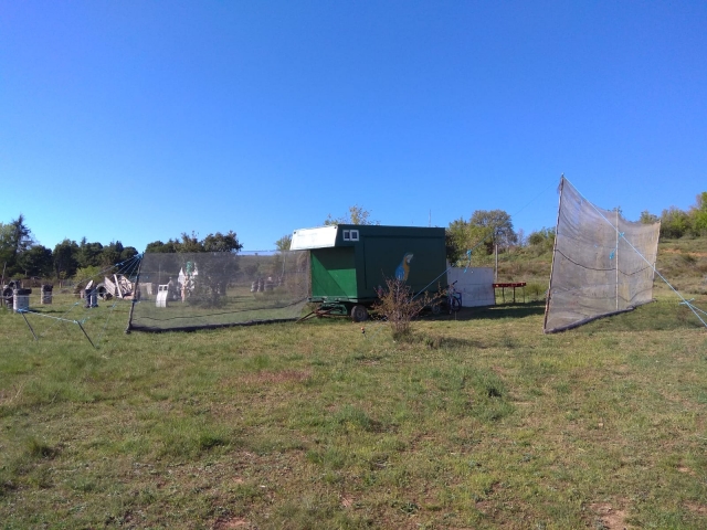 Scenario for a paintball game 