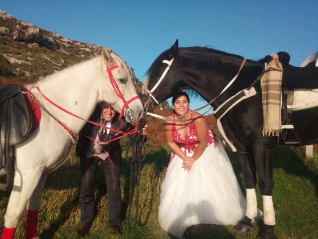  Bride and groom posing with horses 