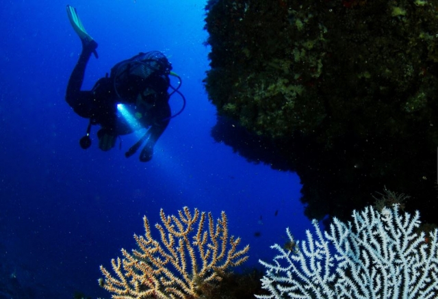  Visite sous-marine