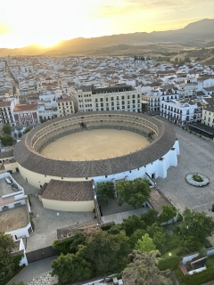 res_o-67205-paseo-en-globo_de_rosalia-garcia-calderon_17842833853757.jpeg