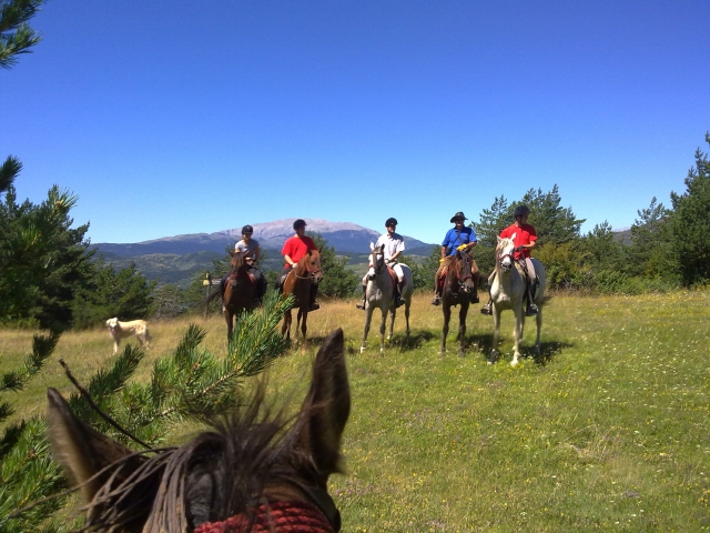 Grupo de ruta a caballo en Barcelona