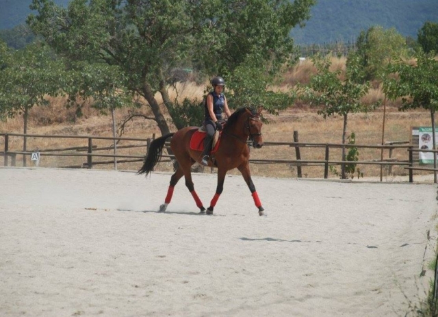 Equitacion en el campamento ecuestre